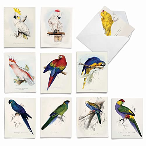 The Best Card Company - 10 Assorted Blank Notecards Bulk Box Set 4 x 5.12 Inch with Envelopes (10 Designs, 1 Each) - Birds of a Feather M6034 - style: Birds of a Feather