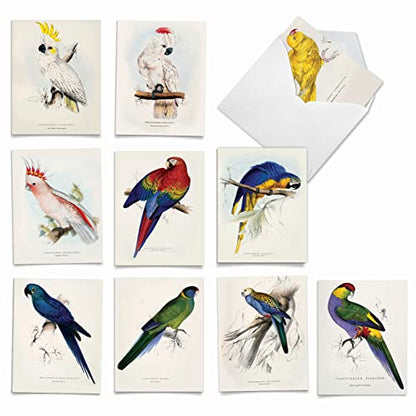 The Best Card Company - 10 Assorted Blank Notecards Bulk Box Set 4 x 5.12 Inch with Envelopes (10 Designs, 1 Each) - Birds of a Feather M6034 - style: Birds of a Feather
