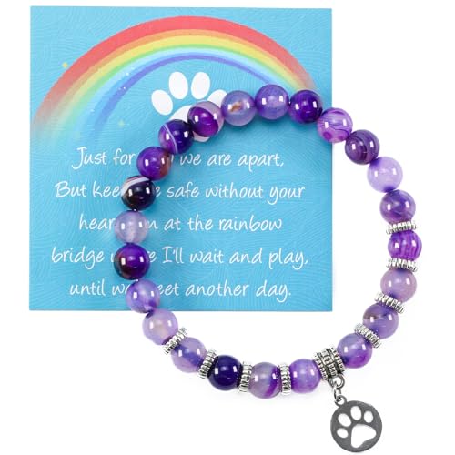 Clearain Pet Memorial Gifts for Dogs, Rainbow Bridge Bracelets for Women Men, Cat Memorial Gifts for Loss of Cat, Dog Passing Away Remembrance Sympathy Gift