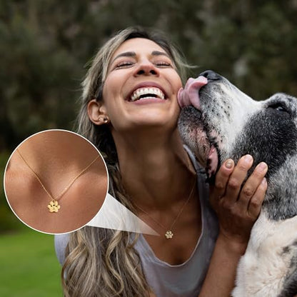 Dog Memorial Gifts for Loss of Dog Paw Print Neckalce for Women with Initial Dogs Mom Gifts Necklace for Women Dainty 14k Gold Plated Heart Necklace Pet Memorial Dogs Lover Birthday Gift for Pet Lovers - style: Big Paw A