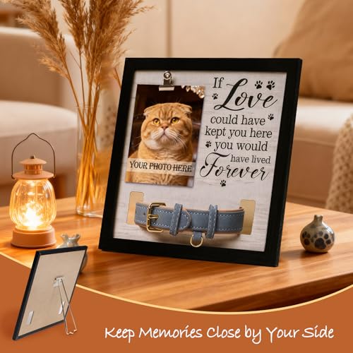 Dog Memorial Gifts for Loss, 9x9 Wooden Pet Loss Sympathy Frame with Collar Holder, Dog & Cat Remembrance Bereavement Gift, Rainbow Bridge Sympathy Gift（Forever in Our Hearts 1.0