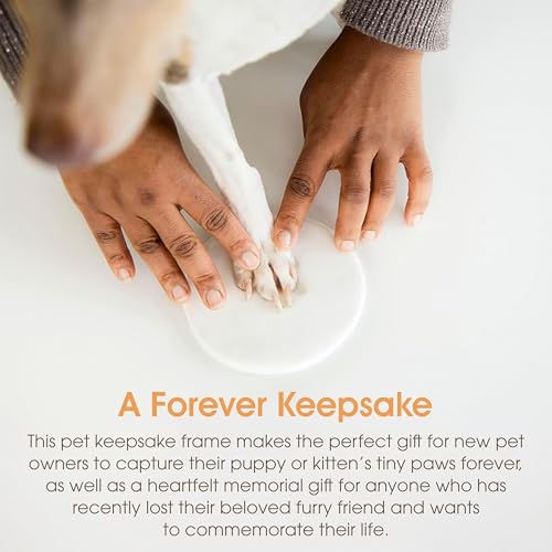 Pearhead Pet Paw Print Memorial Frame with Clay Imprint Kit, Espresso Brown - color: Espresso Clay Print Table Top Frame