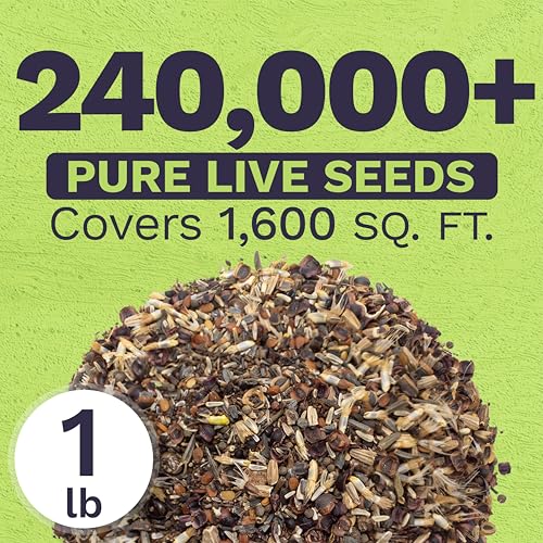 Deer Resistant Wildflower Seed Mixture - Bulk 1 Pound Bag - Over 240,000 Deer Tolerant Seeds - Open Pollinated and Non GMO - size: Bulk 1 Pound