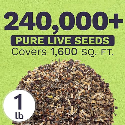 Deer Resistant Wildflower Seed Mixture - Bulk 1 Pound Bag - Over 240,000 Deer Tolerant Seeds - Open Pollinated and Non GMO - size: Bulk 1 Pound