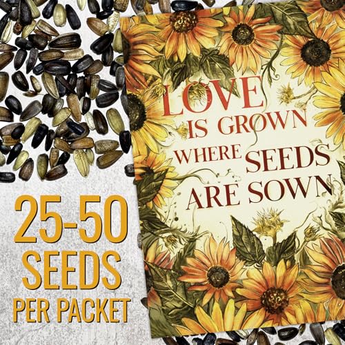 Seed Needs Sunflower Seed Packet Gift Favors for Weddings & Bridal Showers - size: 30 Packs, style: FAV-002