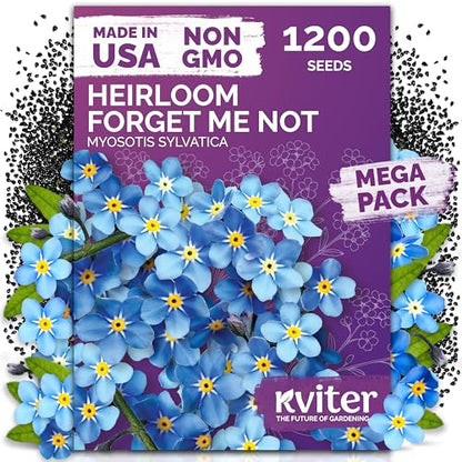 1200 Forget Me Not Heirloom Flower Seeds for Planting, Myosotis Sylvatica | Charming Blue Spring Flowers for Shady Gardens, Easy to Grow Seed Packets , Heirloom Seeds for Planting, Perfect for Borders