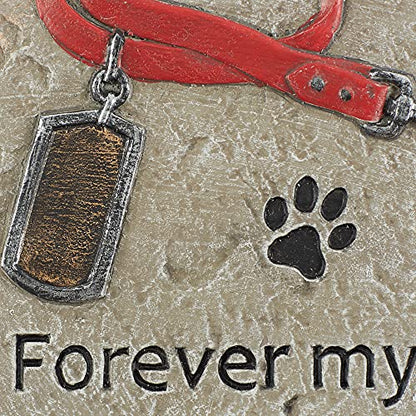 DII Pet Remembrance Cement Stepping Stone Collection, You Will Never Leave Our Hearts, Dog, 9.25x8.5x3.7