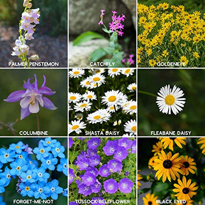 Mountain Valley Seed Co Wildflower Seed - Rocky Mountain Mix 2 oz Non-GMO | 80,000 Seeds – 18 Varieties – Bulk Pollinator-Friendly Blend for Planting - style: Rocky Mountain
