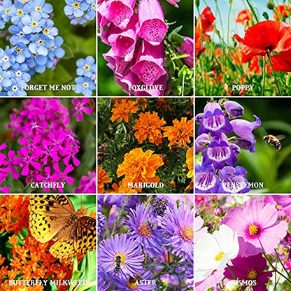 The Old Farmer's Almanac Premium Wildflower Seeds 23 Variety Pollinator Mix - Non-GMO, Open Pollinated - Columbine Cosmos Foxglove Larkspur Poppy Snapdragon Zinnia - Attracts Butterflies Bees Birds
