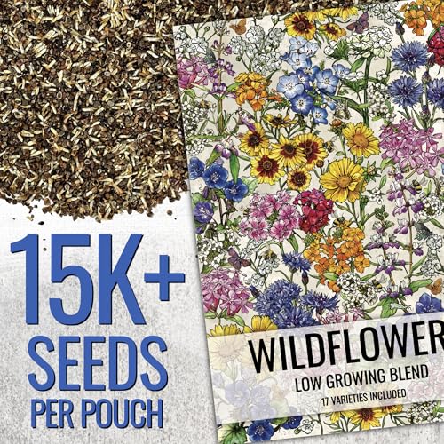 Seed Needs Low Growing Wildflower Seed Mix 2 Bulk Packs (1 Ounce Each) - size: 2 Packs, style: Low Growing Mix