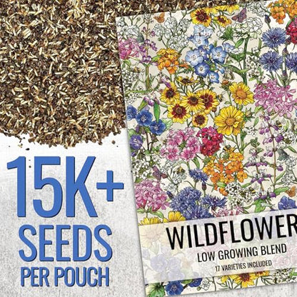 Seed Needs Low Growing Wildflower Seed Mix 2 Bulk Packs (1 Ounce Each) - size: 2 Packs, style: Low Growing Mix