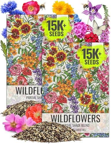 Seed Needs Wildflower Seeds Partial Shade Mix 2 Bulk Packs (1 Ounce Each) - size: 2 Packs, style: Partial Shade Mix