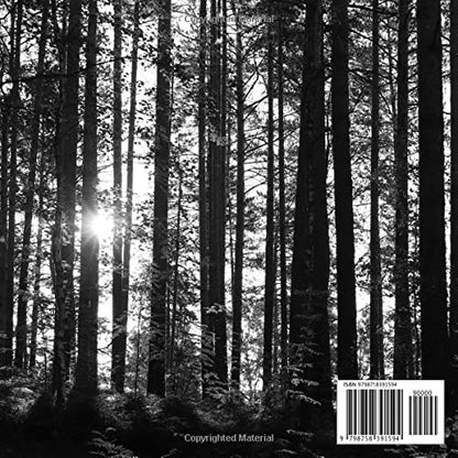 Funeral Guest Books Celebration Of Life: Sunset Forest Background Memorial Funeral Guest Book