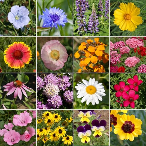 Ferry-Morse Sun-Shade Bulk Wildflower Seeds, 390,000+, 1 lb - color: All-Purpose Sun-Shade