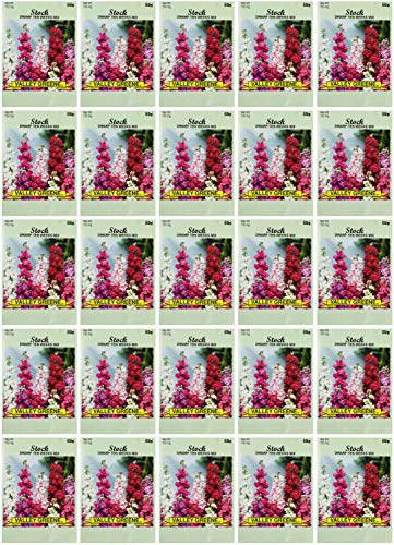 Black Duck Brand Set of 25 Stock Flower Seed Packets! Flower Seeds in Bulk - Great for Creating The Garden of Your Dreams! (25, Stock - Dwarf Ten Weeks) - color: Stock - Dwarf Ten Weeks