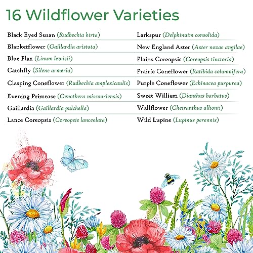 Wisconsin Wildflower Seed Mix – Over 40,000 Flower Seeds, Covers 300 Sq Ft | 16 Colorful Annual and Perennial Wildflower Varieties for Wisconsin Gardens, Attracts Bees, Butterflies and Other Pollinators