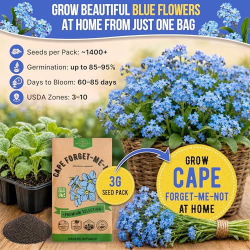Cape Forget-Me-Not Seeds Pack 3G - Over 1,400 Non-GMO Heirloom Cape Forget-Me-Not Seeds for Planting Flowers in Individual Seed Packet, Flower Seeds for Planting Home Garden Indoor & Outdoor Gardening