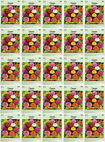 Black Duck Brand Set of Zinnia Lilliput Flower Seed Packets! Flower Seeds in Bulk - Great for Creating The Garden of Your Dreams! (25, Zinnia - Lilliput) - color: Zinnia - Lilliput