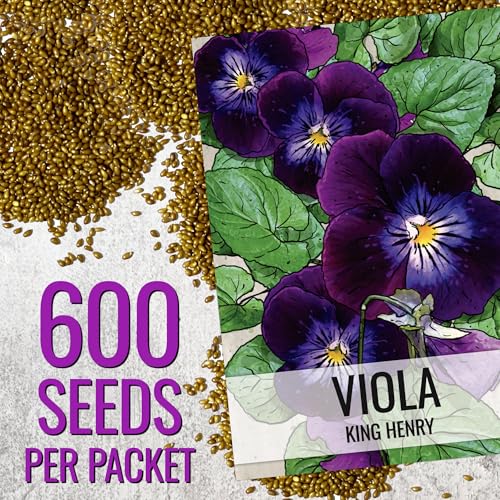 Seed Needs King Henry Viola Seeds to Plant Gothic Violet Flowers 2 Packs - size: 2 Packs, style: King Henry Viola