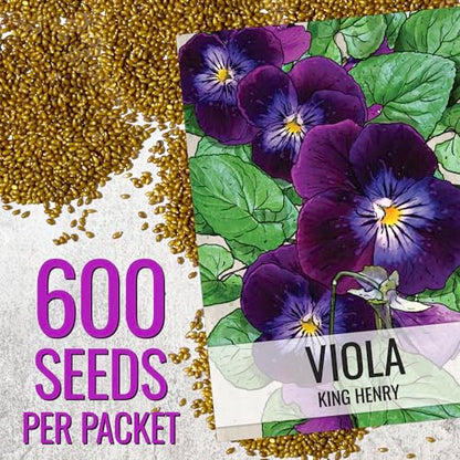 Seed Needs King Henry Viola Seeds to Plant Gothic Violet Flowers 2 Packs - size: 2 Packs, style: King Henry Viola