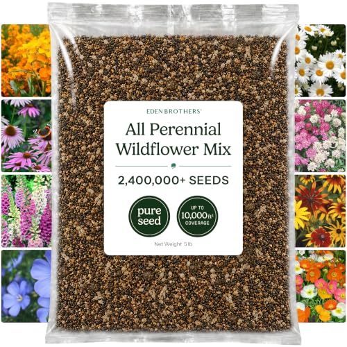 Eden Brothers All Perennial Wildflower Mixed Seeds for Planting, 5 lb, 2,400,000+ Seeds with Lupine, Shasta Daisy| Attracts Pollinators, Plant in Spring or Fall, Zones 3, 4, 5, 6, 7, 8, 9, 10 - size: 5 Pounds, style: All Perennial