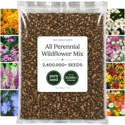 Eden Brothers All Perennial Wildflower Mixed Seeds for Planting, 5 lb, 2,400,000+ Seeds with Lupine, Shasta Daisy| Attracts Pollinators, Plant in Spring or Fall, Zones 3, 4, 5, 6, 7, 8, 9, 10 - size: 5 Pounds, style: All Perennial