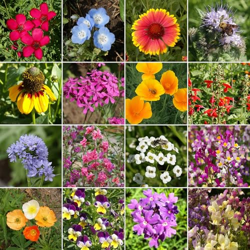 Ferry-Morse Cool Season Bulk Wildflower Seeds, 500,000+, 1 lb - color: Cool Season