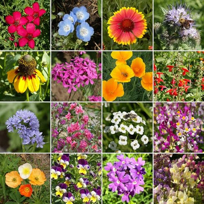 Ferry-Morse Cool Season Bulk Wildflower Seeds, 500,000+, 1 lb - color: Cool Season