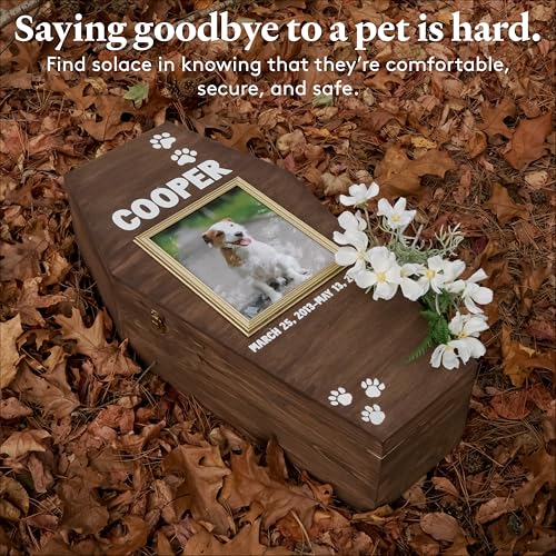 Pet Casket, Wooden Pet Burial Box, 24" Loving Dog Memorial, Strong and Safe Pet Coffin, Dignified Dog Casket, Hinged Lid Cat Casket, Baltic Birch Dog Burial Box - size: 24 inch
