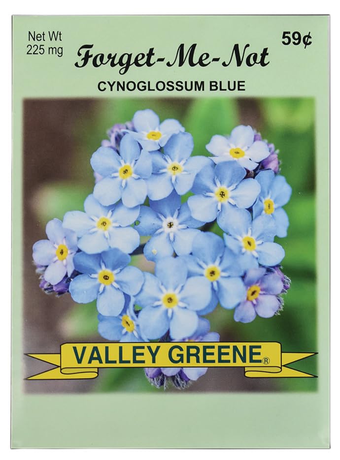 Set of 50 Forget Me Not Valley Green Flower Seed Packets! Flower Seeds in Bulk - Forget Me Nots - color: Forget Me Not