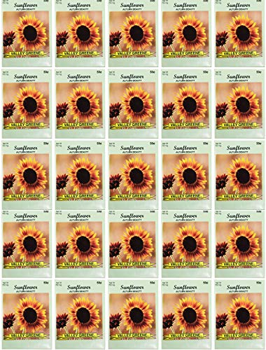 Black Duck Brand Set of 25 Autumn Beauty Sunflower Seed Packets! Flower Seeds in Bulk - Great for Creating The Garden of Your Dreams! (25, Autumn Beauty Sunflower) - color: Autumn Beauty Sunflower