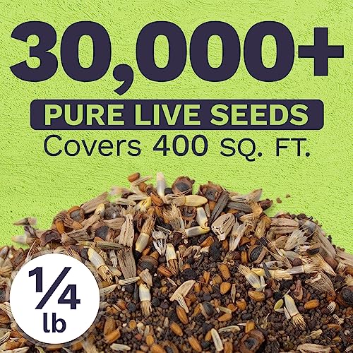 Sweet Yards - Northeast Wildflower Seed Regional Mixes - Bulk 1/4 Pound Bag - Over 30,000 Native Seeds - Open Pollinated and Non GMO Varieties for New York, Virginia, Pennsylvania, Maine and More! - size: 4 Ounce (Pack of 1), style: Northeast Regional Mix