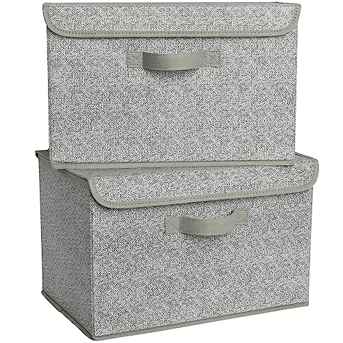 GRANNY SAYS Storage Baskets with Lids, Clothes Storage Boxes, Fabric Storage Bins, Keepsake Box, Closet Organizers and Storage, Gray, 2-Pack | Flip-Top Lid, Collapsible, Stackable, 3 Handles, Ideal for Closet Clothes Blanket Toys, Large, Gray, 2-Pack - co