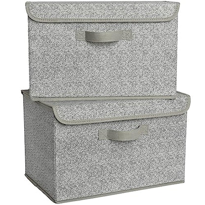 GRANNY SAYS Storage Baskets with Lids, Clothes Storage Boxes, Fabric Storage Bins, Keepsake Box, Closet Organizers and Storage, Gray, 2-Pack | Flip-Top Lid, Collapsible, Stackable, 3 Handles, Ideal for Closet Clothes Blanket Toys, Large, Gray, 2-Pack - co
