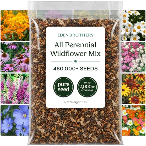 Eden Brothers All Perennial Wildflower Mixed Seeds for Planting, 1 lb - size: 1 Pound, style: All Perennial