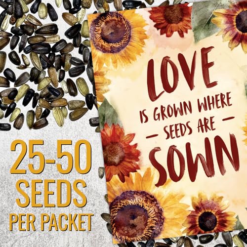 Seed Needs Sunflower Seed Packet Gift Favors for Weddings & Bridal Showers - size: 30 Packs, style: FAV-003