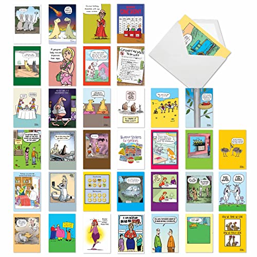 NobleWorks 36 Assorted Funny Retro Cartoon Style Birthday Cards Bulk Box Set with Envelopes (36 Designs, 1 Each) Mixed Humor Card Variety Pack for Men and Women Cartoon Party AC9374BDG-B1x36 - style: Cartoon Party