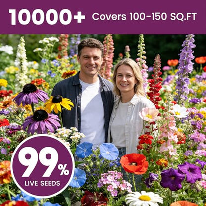 Wildflower Seeds Bulk 10000+, 1.06oz Butterfly Hummingbird Mix, 21 Variety Perennial Annual Mix, Heirloom Flower Seeds for Planting Outdoor Indoor, High Germination Rate Garden Seeds