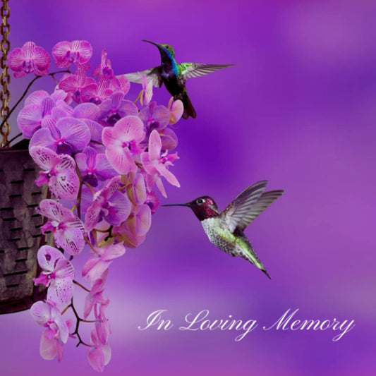In Loving Memory: Funeral Guest Book Humming Bird Purple, Condolence Book For Memorial Service, Remembrance Book For Funerals or Wake With Address, Email Lines & Blank Pages