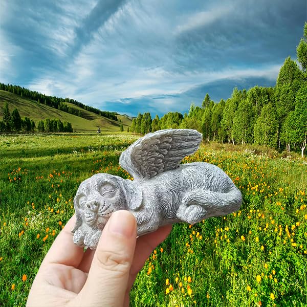 Dog Urn with Picture, Wooden Pet ERN for Dog Ashes Cremation Casket Box