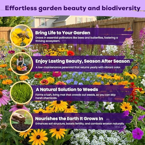 200,000+ Wildflower Seeds Bulk (4oz) – 16 Varieties Perennial & Annual Mix, Attract Bees, Butterflies & Hummingbirds, High Germination for Outdoor Pollinator Garden, Unique Gift for Mother, Women, Mom