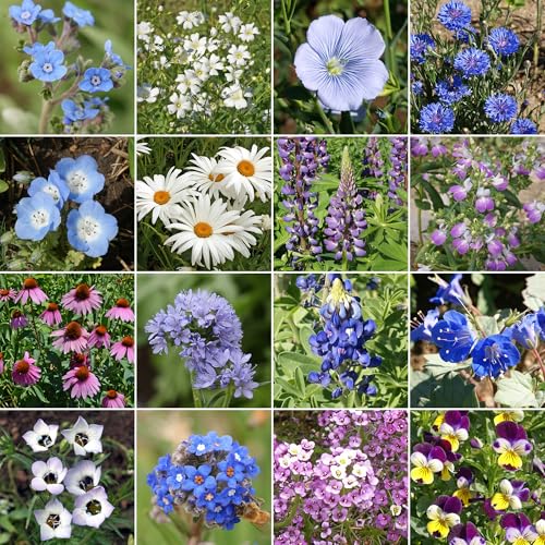 Ferry-Morse Cool Colors Bulk Wildflower Seeds, 200,000+, 1 lb - color: Cool Colors