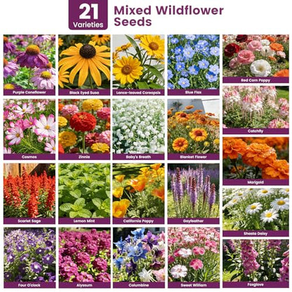 Wildflower Seeds Bulk 10000+, 1.06oz Butterfly Hummingbird Mix, 21 Variety Perennial Annual Mix, Heirloom Flower Seeds for Planting Outdoor Indoor, High Germination Rate Garden Seeds