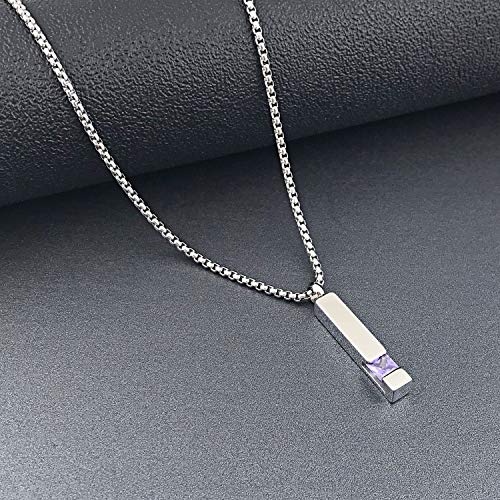 YOUFENG Urn Necklaces for Ashes Birthstone Cube Urns for Human Ashes Memorial Cremation Urn Locket Keepsake Ashes Jewelry - style: Silver - February
