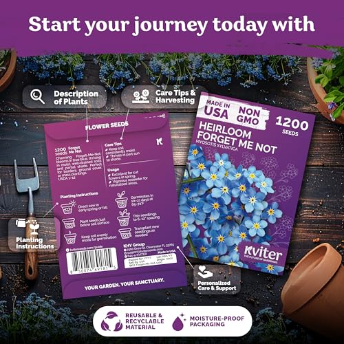 2,400 Forget Me Not Heirloom Flower Seeds for Planting, Myosotis Sylvatica | Charming Blue Spring Flowers for Shady Gardens, Easy to Grow Seed Packets , Heirloom Seeds for Planting, Perfect for Borders