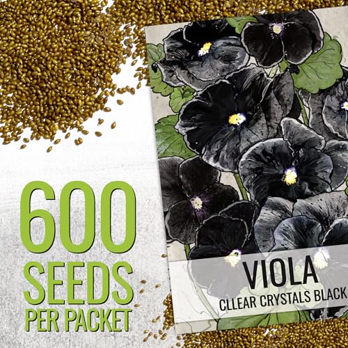 Seed Needs Black Pansy Seeds to Plant a Gothic Butterfly Garden 2 Packs - size: 2 Packs, style: Black Pansy