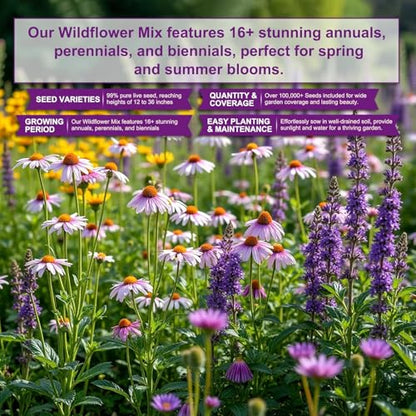 200,000+ Wildflower Seeds [4oz] 16 Variety Perennial Mix - Heirloom Seeds for Pollinator Gardens | Attracts Bees/Birds/Butterflies | High Germination Rate for Indoor & Outdoor - size: 16 Variety Perennial Mix