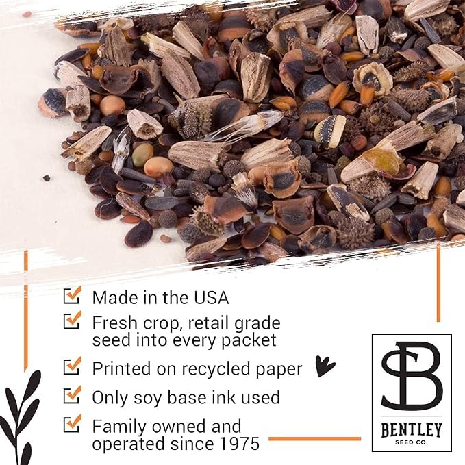 Bentley Seed Co. | Bee Kind Pollinator | Beautiful Bee Art | Environmental Favors Cards for Guests Seed Packets | Pollinator Wildflower Mix Seed Packets | Eco-Friendly Hand Out Gift | 25 Pack - style: Bee Kind