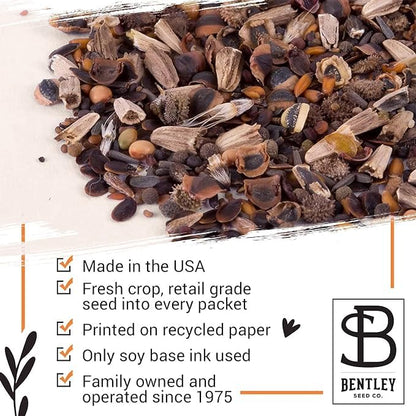 Bentley Seed Co. | Bee Kind Pollinator | Beautiful Bee Art | Environmental Favors Cards for Guests Seed Packets | Pollinator Wildflower Mix Seed Packets | Eco-Friendly Hand Out Gift | 25 Pack - style: Bee Kind