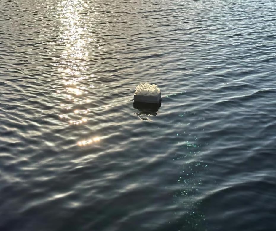 Biodegradable Water Burial Urn Kit - Cruise Approved | Ocean Ashes Scattering Ceremony with Certificate | Eco-Friendly Memorial Urn. (Medium) - size: Medium